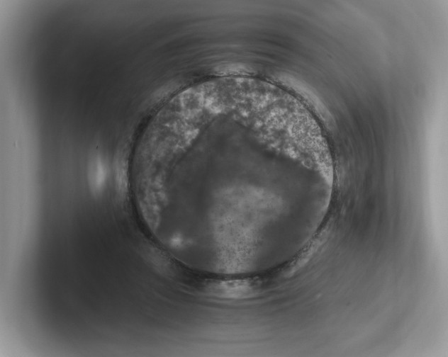 X0000100940353200807221202