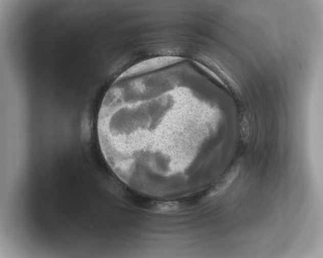 X0000100940355200807221202