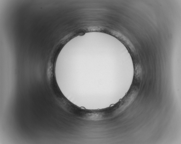 X0000100940356200807221202