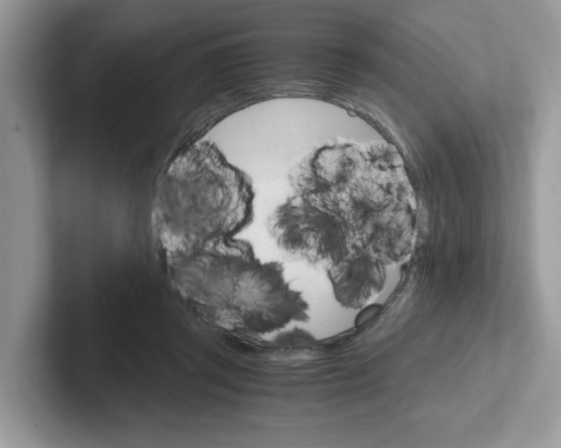 X0000100940357200807221202