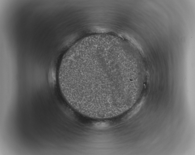 X0000100940358200807221202