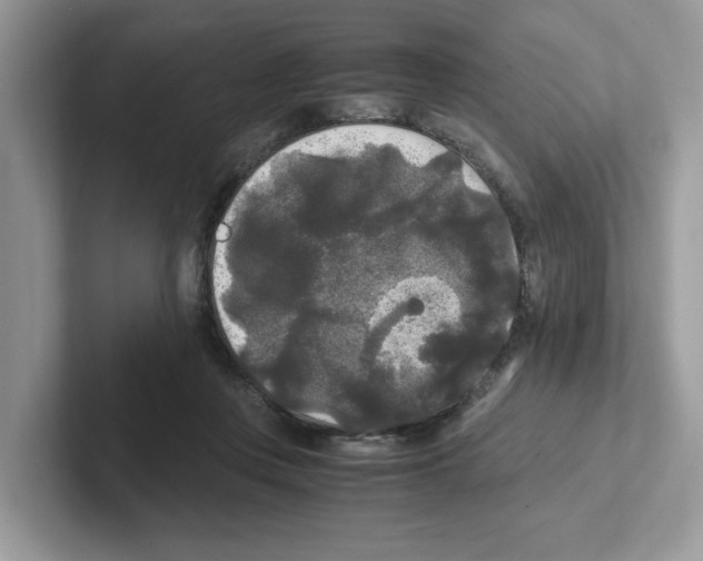 X0000100940359200807221202