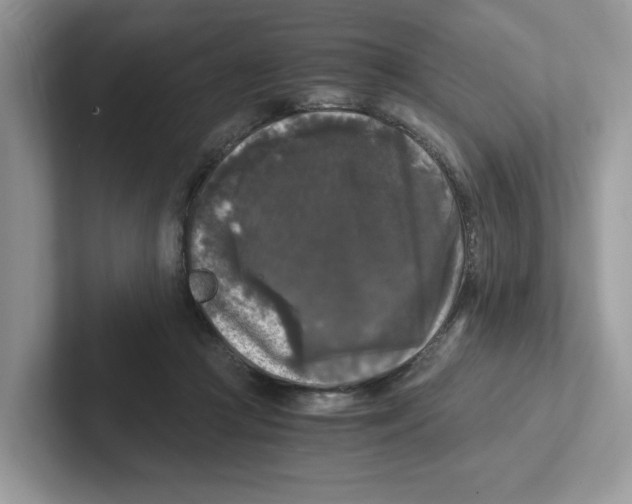 X0000100940361200807221202