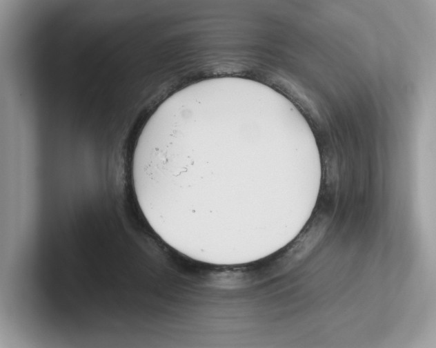 X0000100940362200807221202