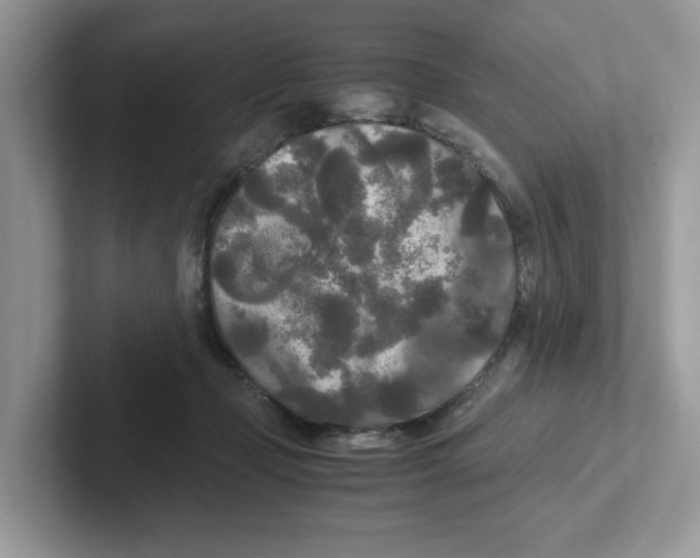 X0000100940365200807221202