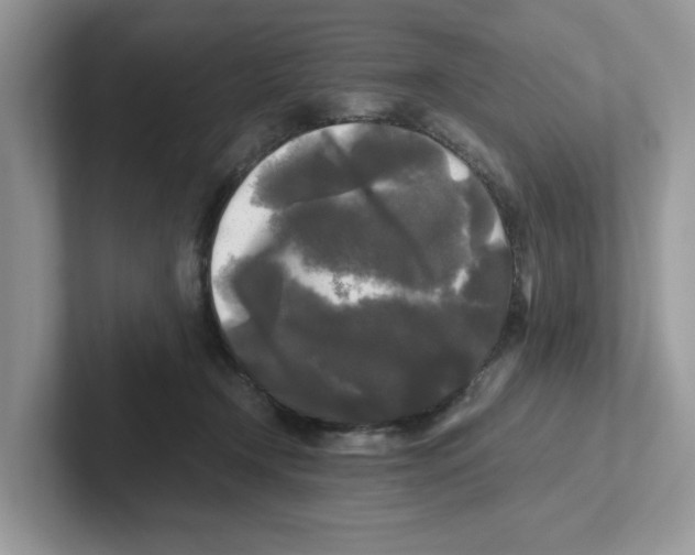 X0000100940366200807221202