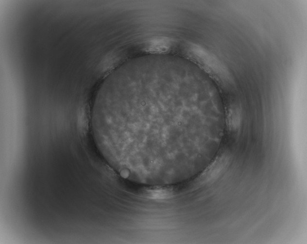 X0000100940370200807221202