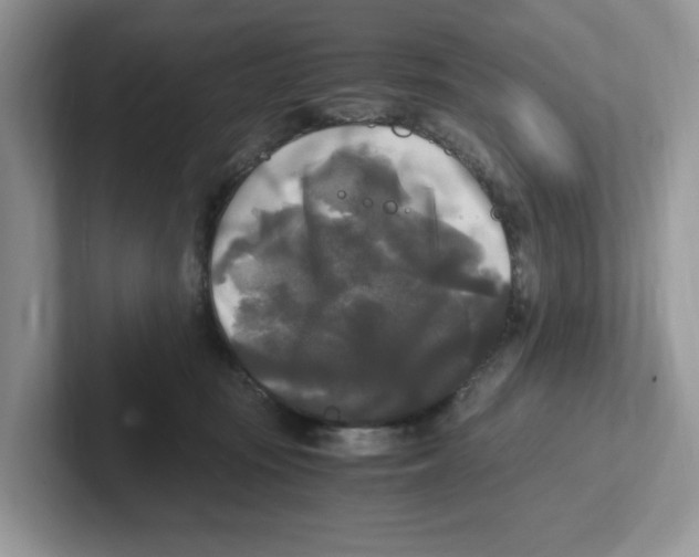 X0000100940371200807221202