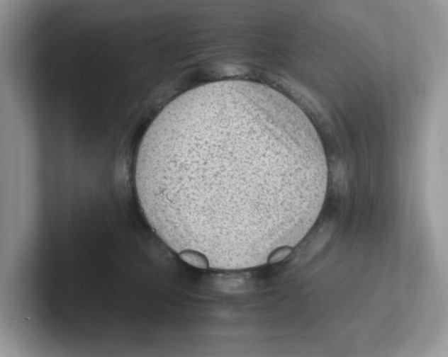 X0000100940373200807221202