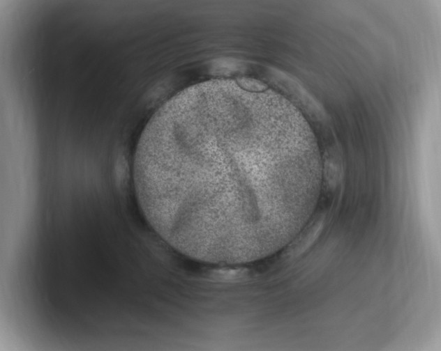 X0000100940375200807221202