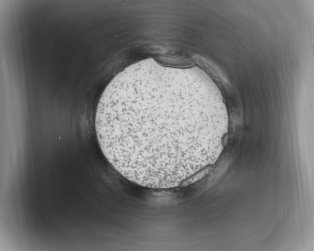 X0000100940376200807221202