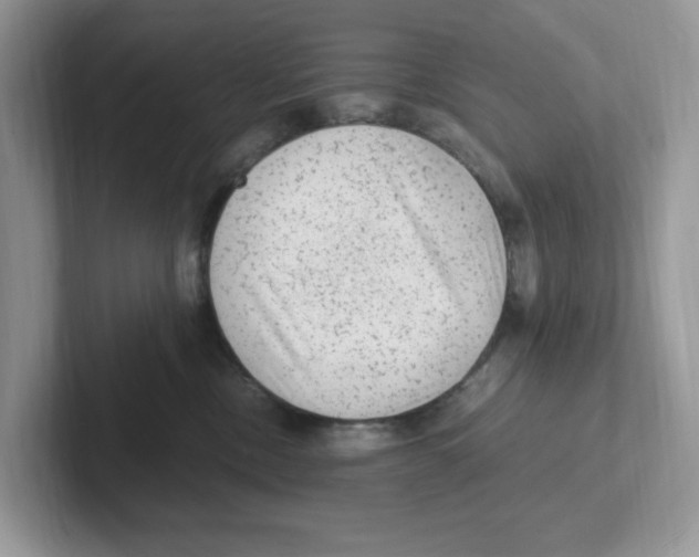 X0000100940378200807221202