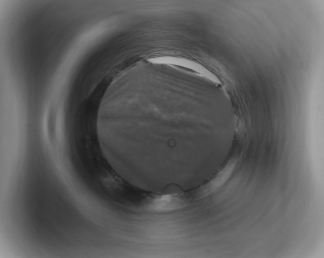 X0000100940382200807221202