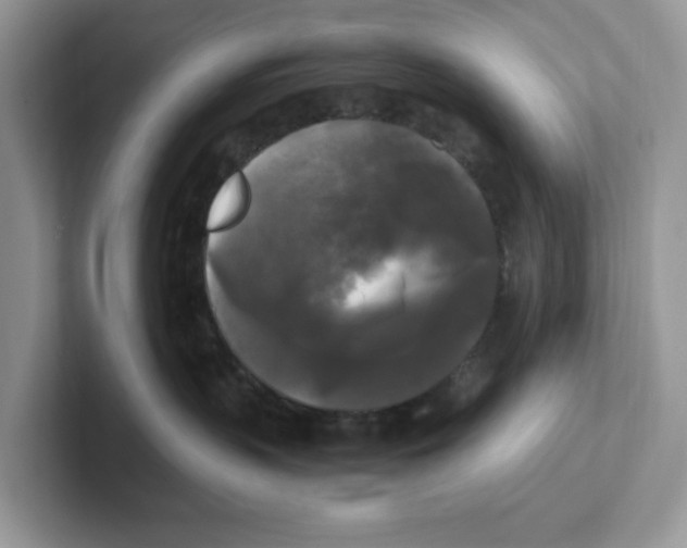 X0000100940383200807221202