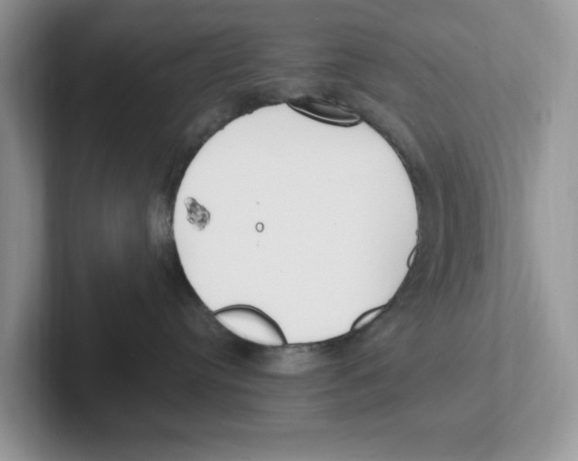 X0000100940384200807221202