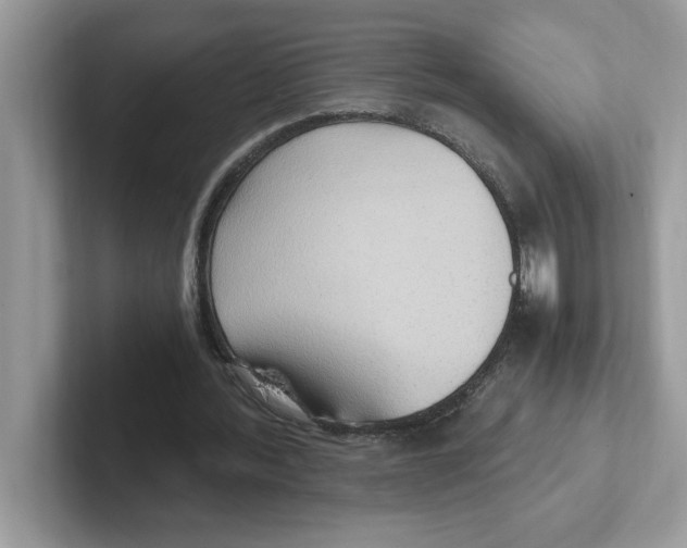 X0000100940388200807221202