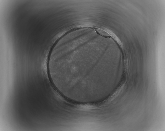 X0000100940389200807221202