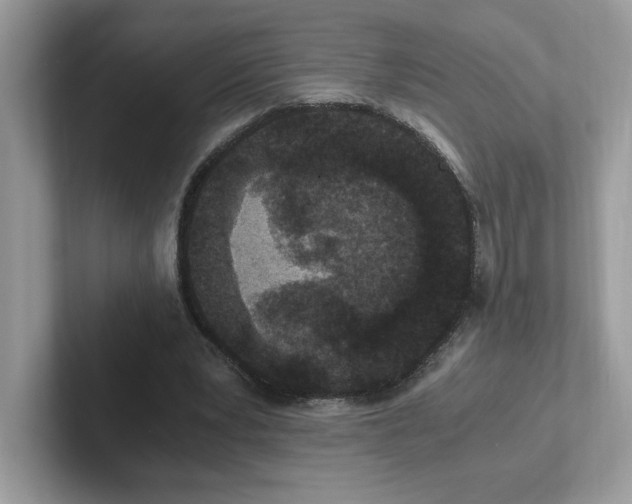 X0000100940391200807221202