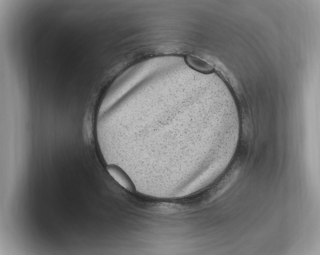 X0000100940393200807221202