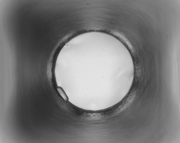 X0000100940395200807221202