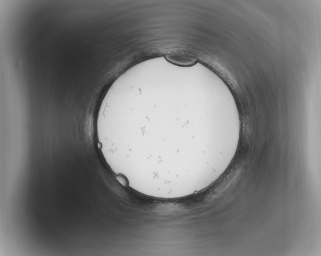 X0000100940397200807221202