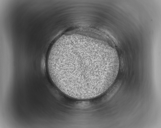 X0000100940398200807221202