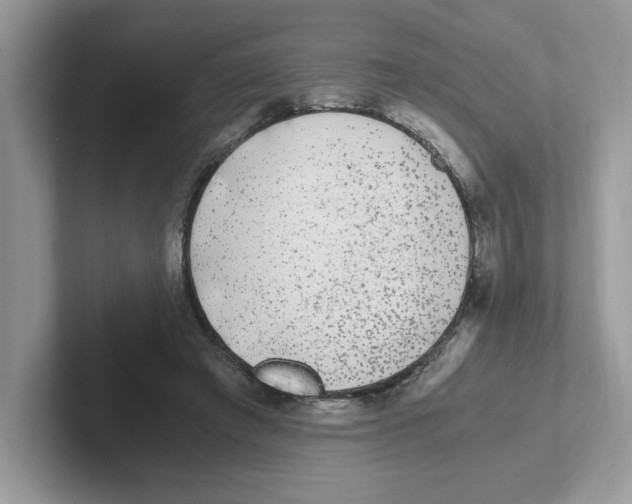 X0000100940401200807221202