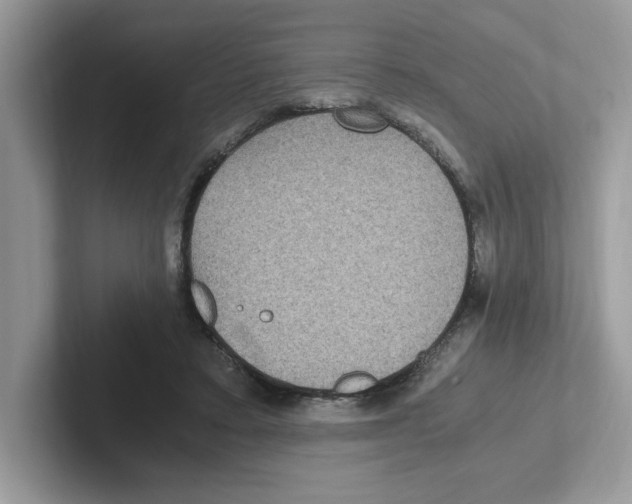 X0000100940403200807221201