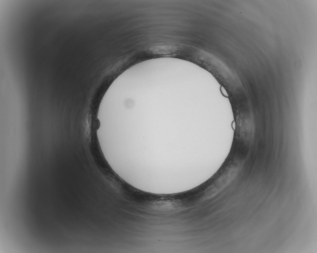 X0000100940404200807221201