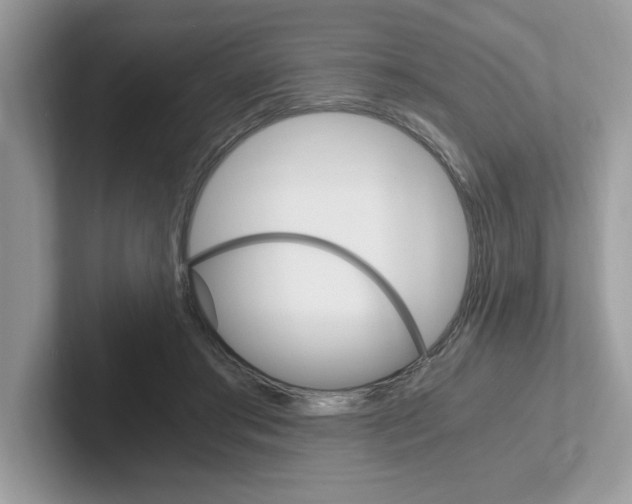 X0000100940405200807221201