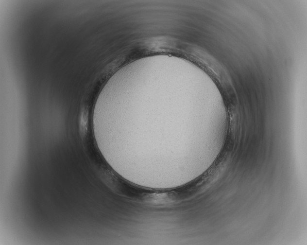 X0000100940406200807221201