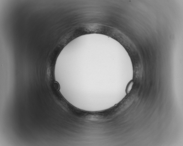 X0000100940408200807221201