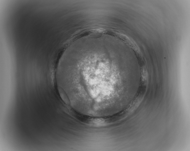 X0000100940409200807221201