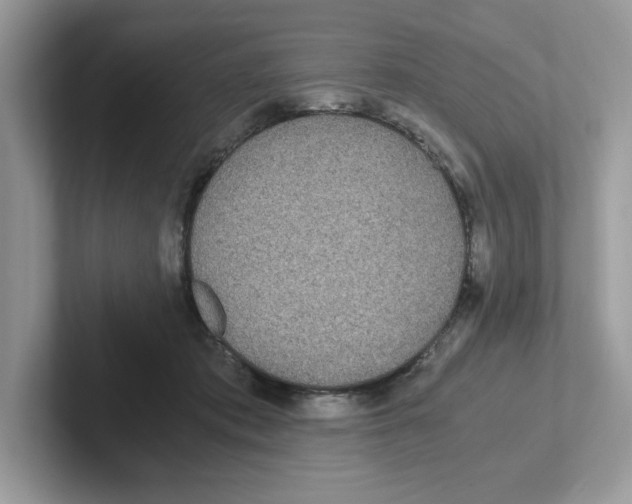 X0000100940413200807221201