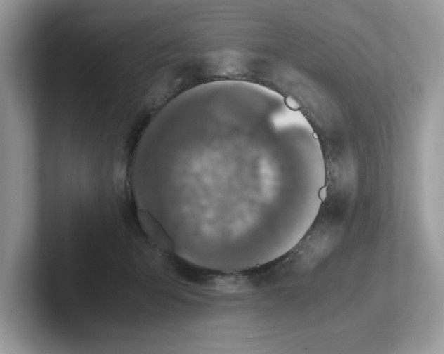 X0000100940415200807221201