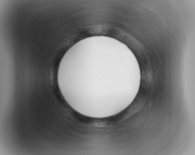 X0000100940416200807221201