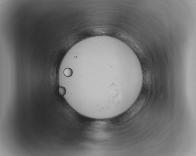 X0000100940418200807221201