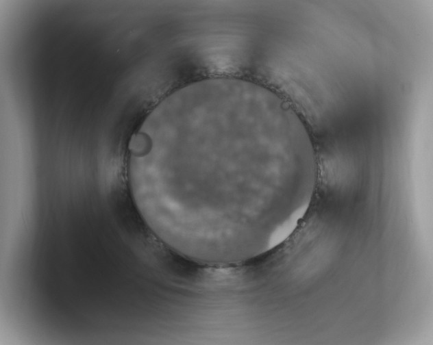 X0000100940419200807221201