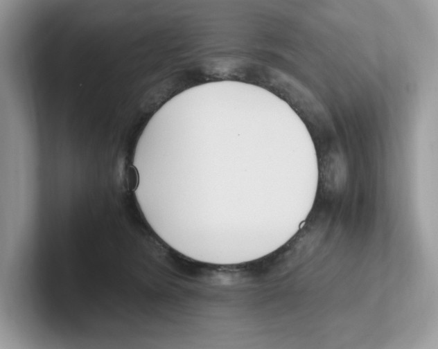 X0000100940420200807221201