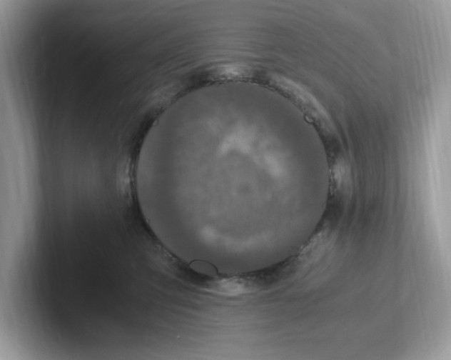 X0000100940423200807221201