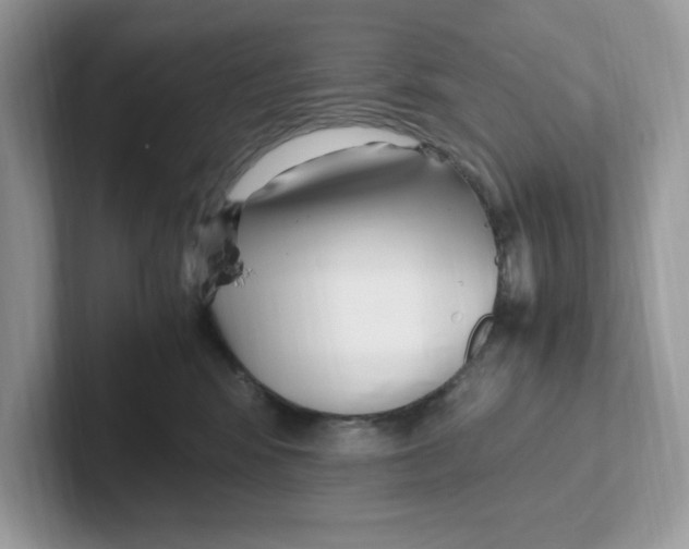 X0000100940424200807221201