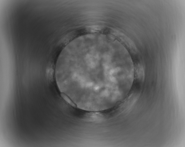 X0000100940427200807221201