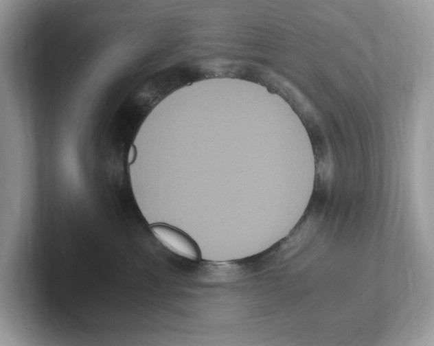 X0000100940429200807221201