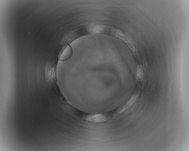 X0000100940431200807221201