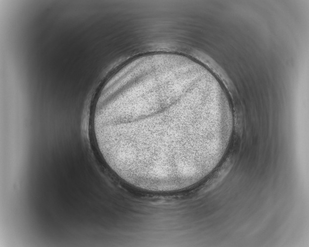 X0000100940434200807221200