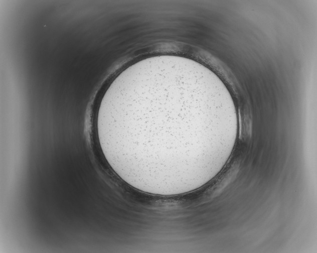 X0000100940435200807221200