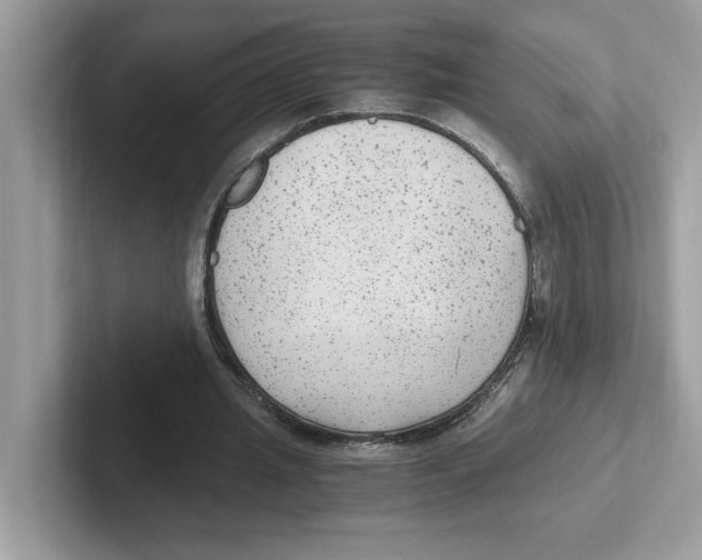 X0000100940437200807221200