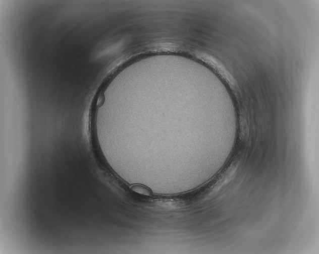 X0000100940439200807221200