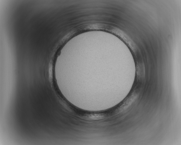 X0000100940445200807221201