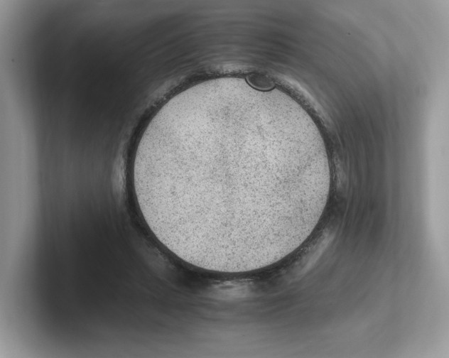 X0000100940447200807221201